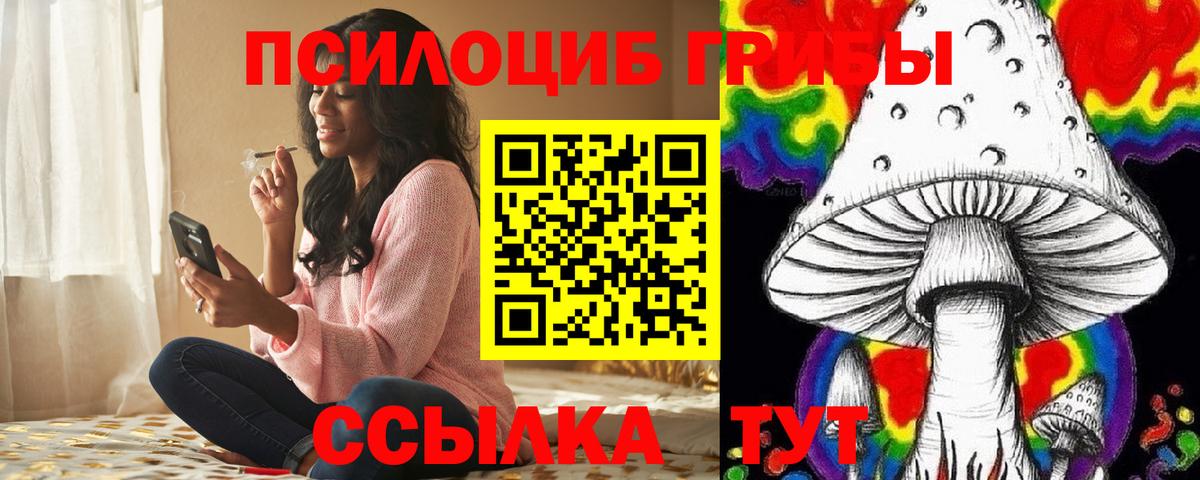 Галлюциногенные грибы Psilocybe  закладки  Вход с VPN  Новосибирск  Псилоцибиновые грибы прущие грибы 