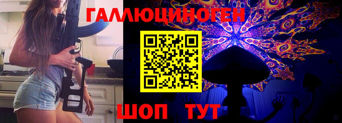 Галлюциногенные грибы прущие грибы Новосибирск